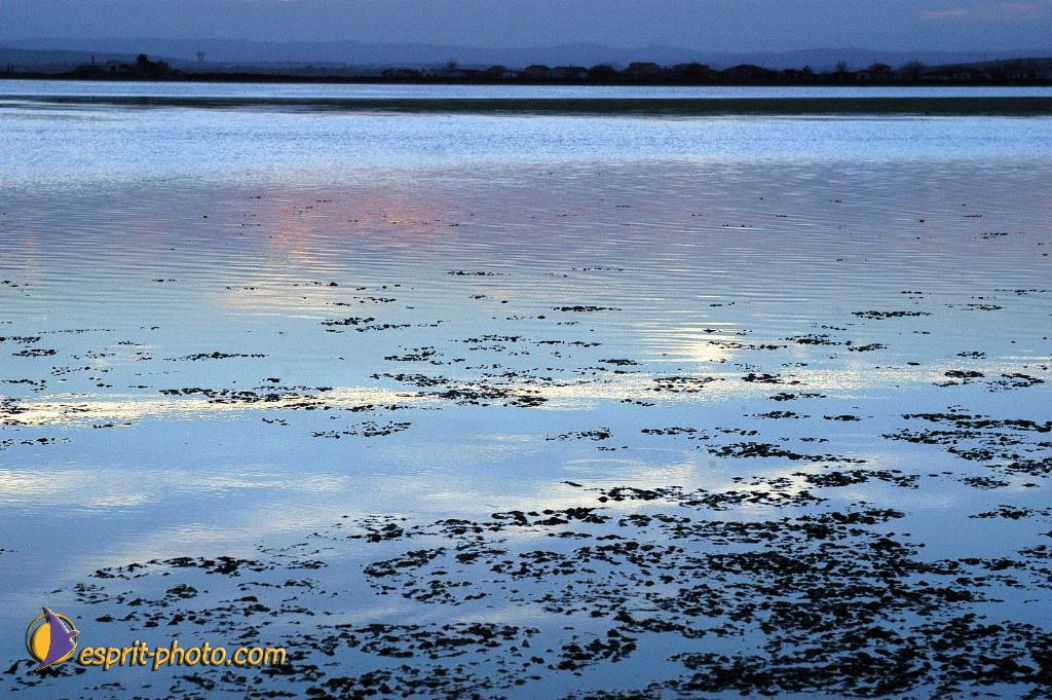 Nom de l'image : EP08-0395_(c)Norbert-JUNG — Description :